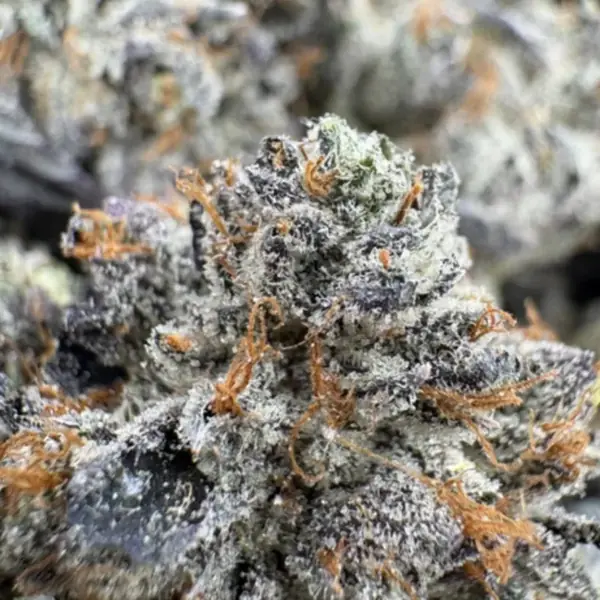 95 Dead Indica - Premium Cali Brick