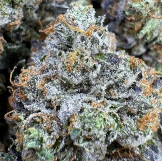 Bubba Goo photo 1