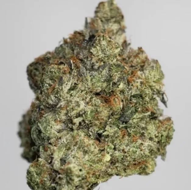 Godfather OG photo 1