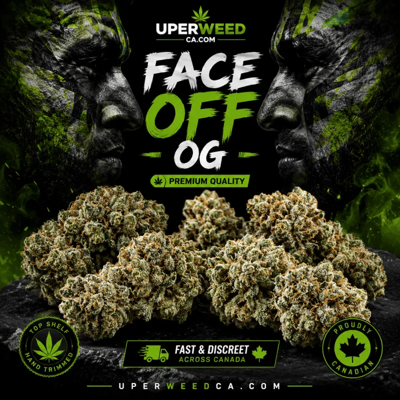 Face Off OG photo 1