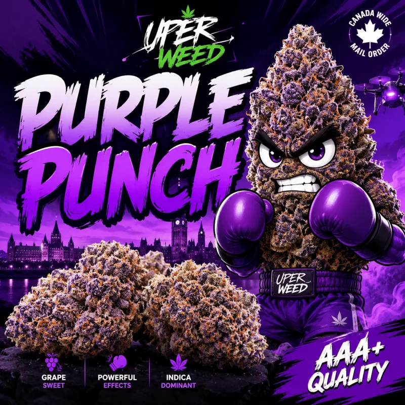 Purple Punch photo 1