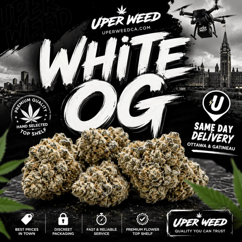 White OG photo 1