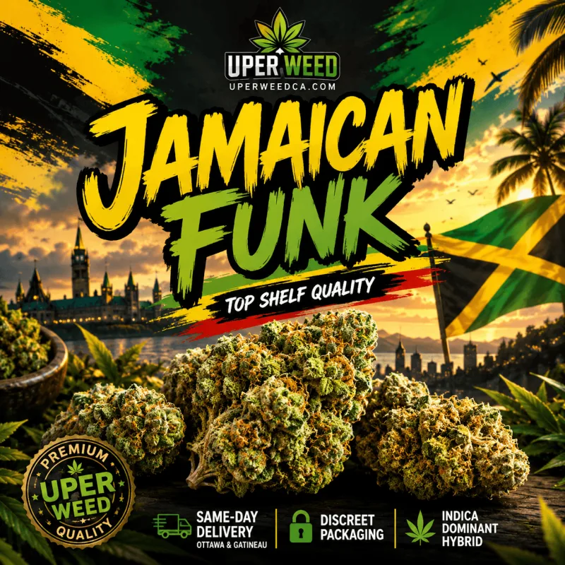 Jamaican Funk photo 1